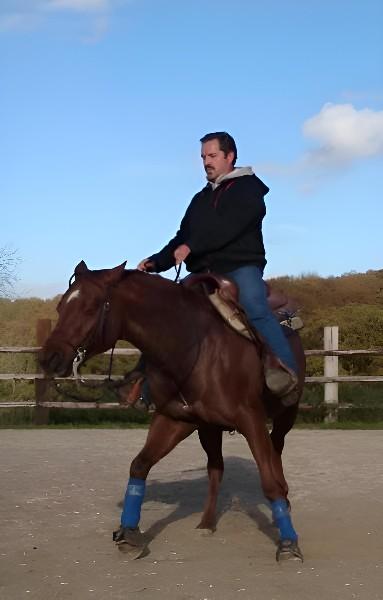 Éducation des chevaux près d'Évreux, dans l'Eure Éducation des chevaux près d'Évreux, dans l'Eure